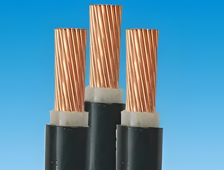 金聯(lián)宇電纜廠家介紹一下特殊電纜和普通電纜的區(qū)別!.jpg 金聯(lián)宇電纜廠家介紹一下特殊電纜和普通電纜的區(qū)別!.jpg